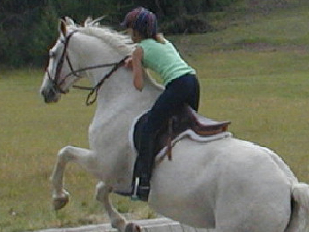 At our summer horseback riding school in Montana Anya navigates Whitey over the beginning of the water hazard